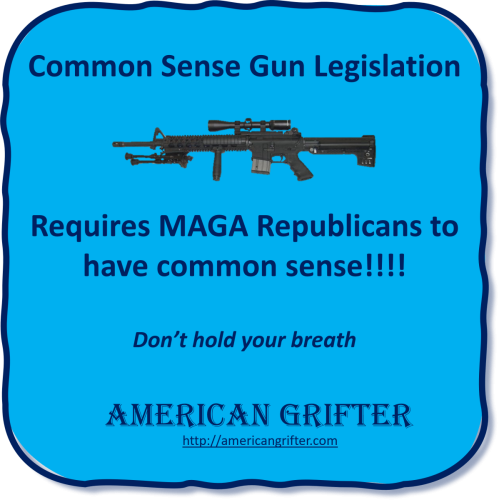 Common Sense Gun Legislation